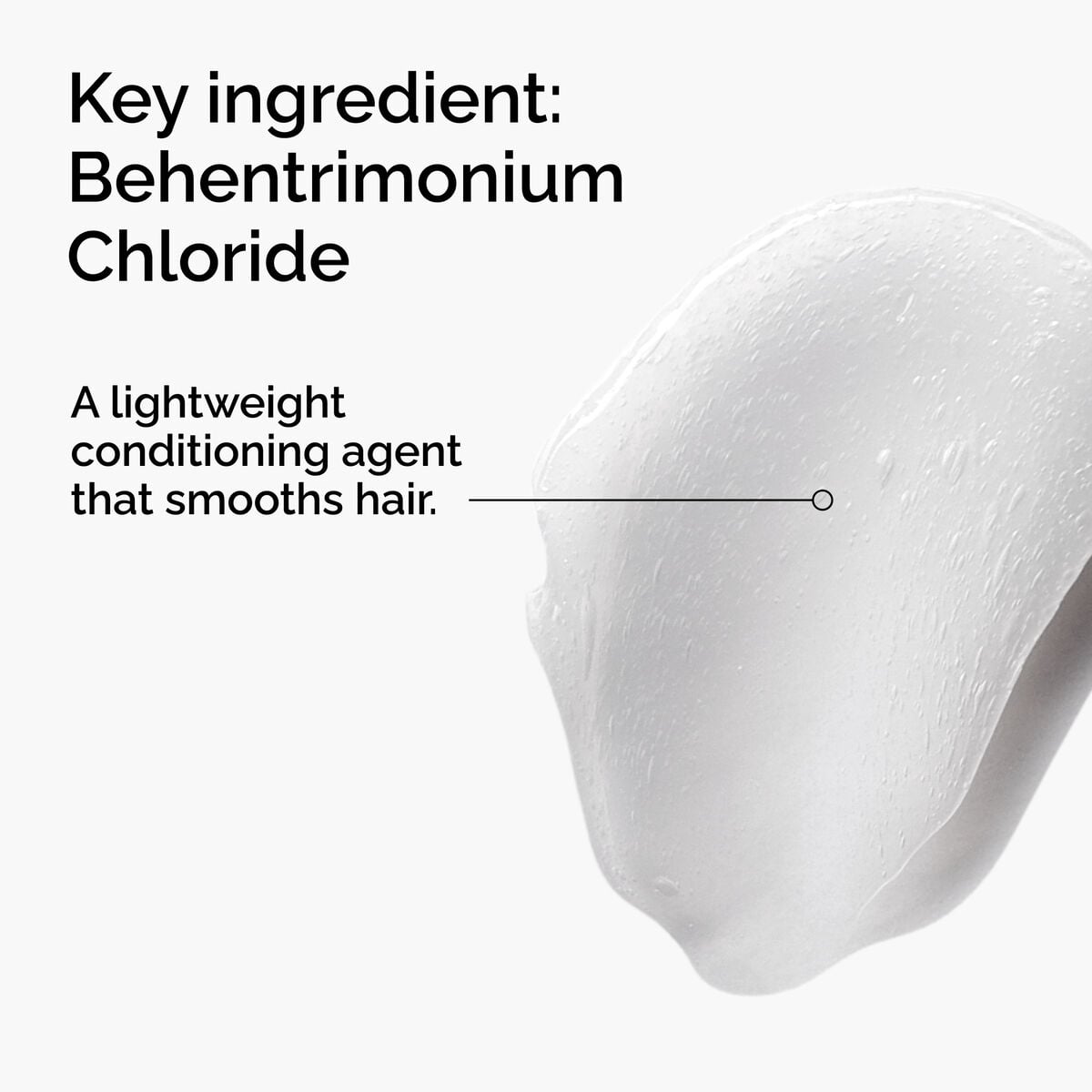 behentrimonium-chloride-2-conditioner-v9 FY25-D41247-ORD-Web-PDP-BTC-1x1-EN-2a.jpg