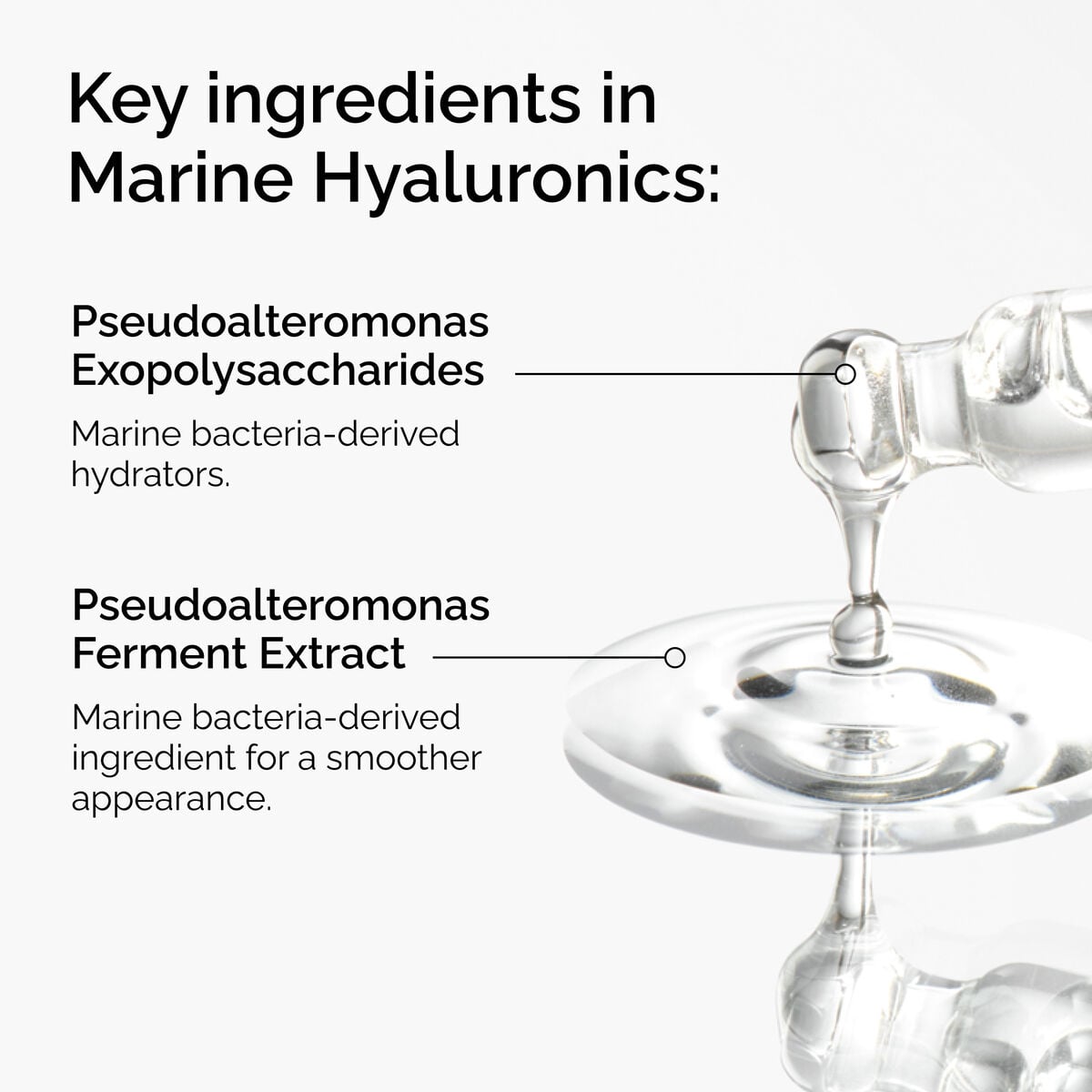 marine-hyaluronics-l0 FY25-D41247-ORD-Web-PDP-Marine-Hya-1x1-EN-2a.jpg