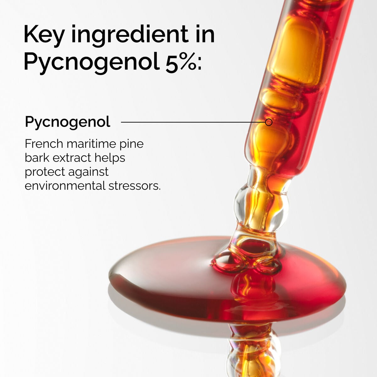 pycnogenol-5-p6 FY25-D41247-ORD-Web-PDP-Pyc-5pct-1x1-EN-2a.jpg