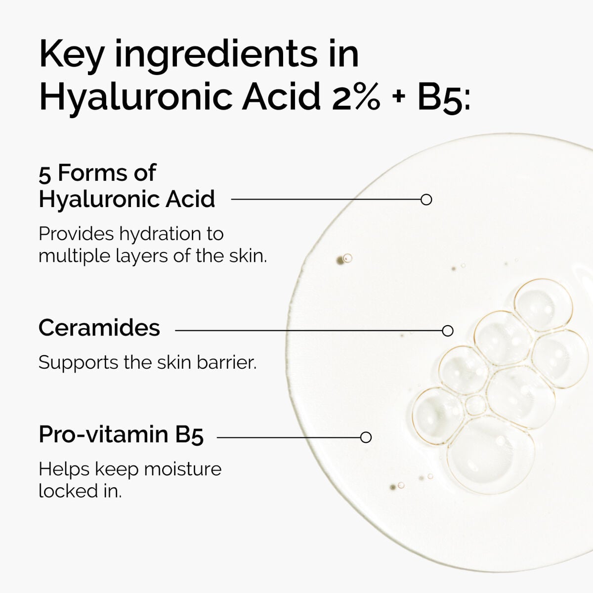 hyaluronic-acid-2-b5-with-ceramides-h9 ord-hyaluronic-acid-2pct-b5-hydrating-serum-ingredients-graphic.jpg