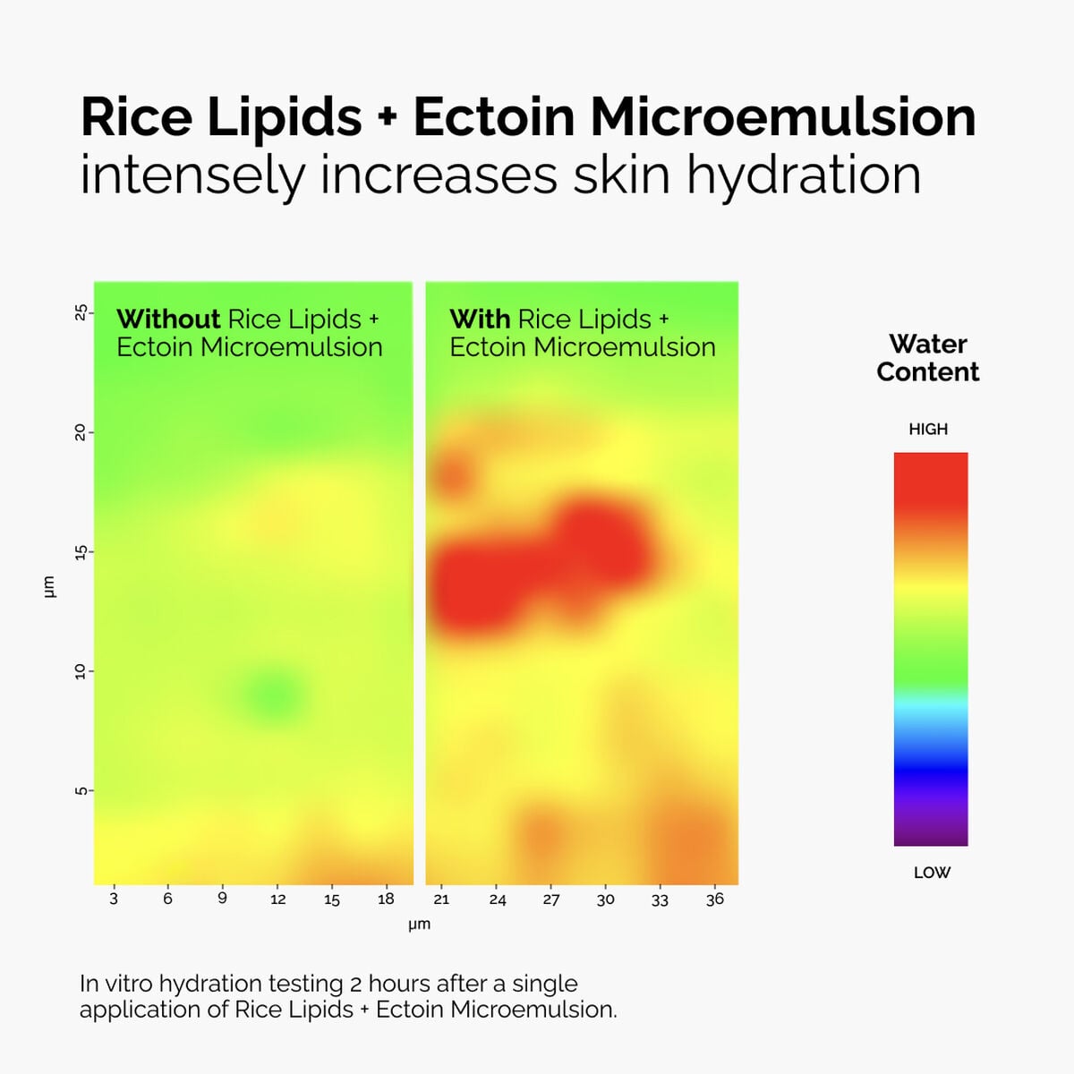 rice-lipids-ectoin-microemulsion-j7 ord-rice-lipids-ectoin-microemulsion-thermal-before-after.jpg